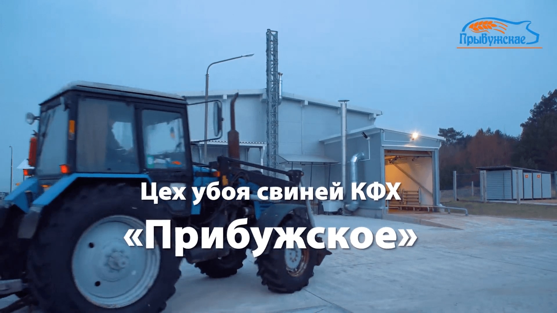 Видео превью